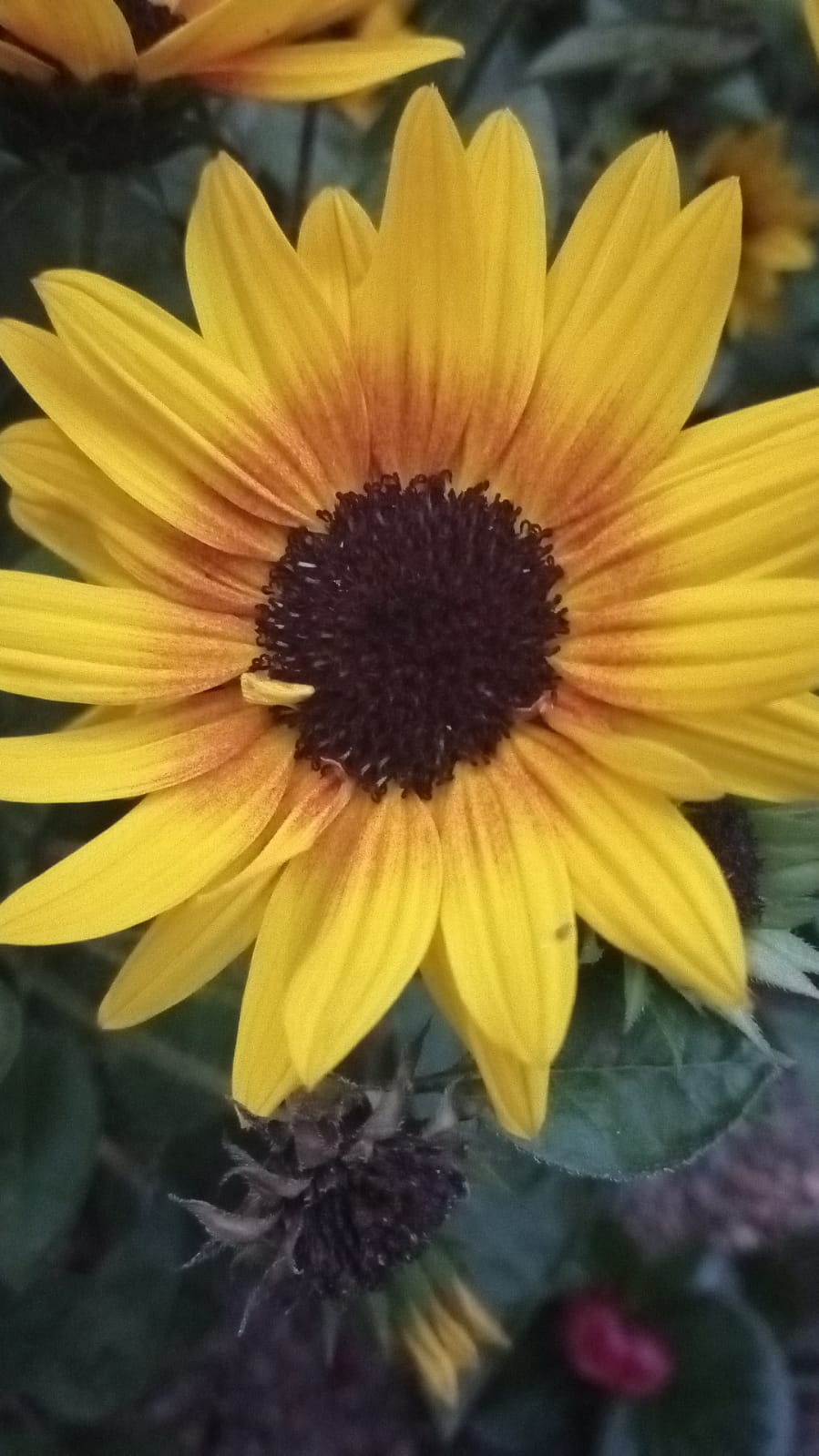 Every day, in every city and town across the country